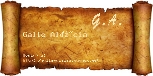 Galle Alícia névjegykártya